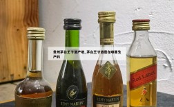 贵州茅台王子酒产地_茅台王子酒是在哪里生产的